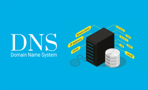 dns - Công ty Thiết Kế Website Tam Nguyên