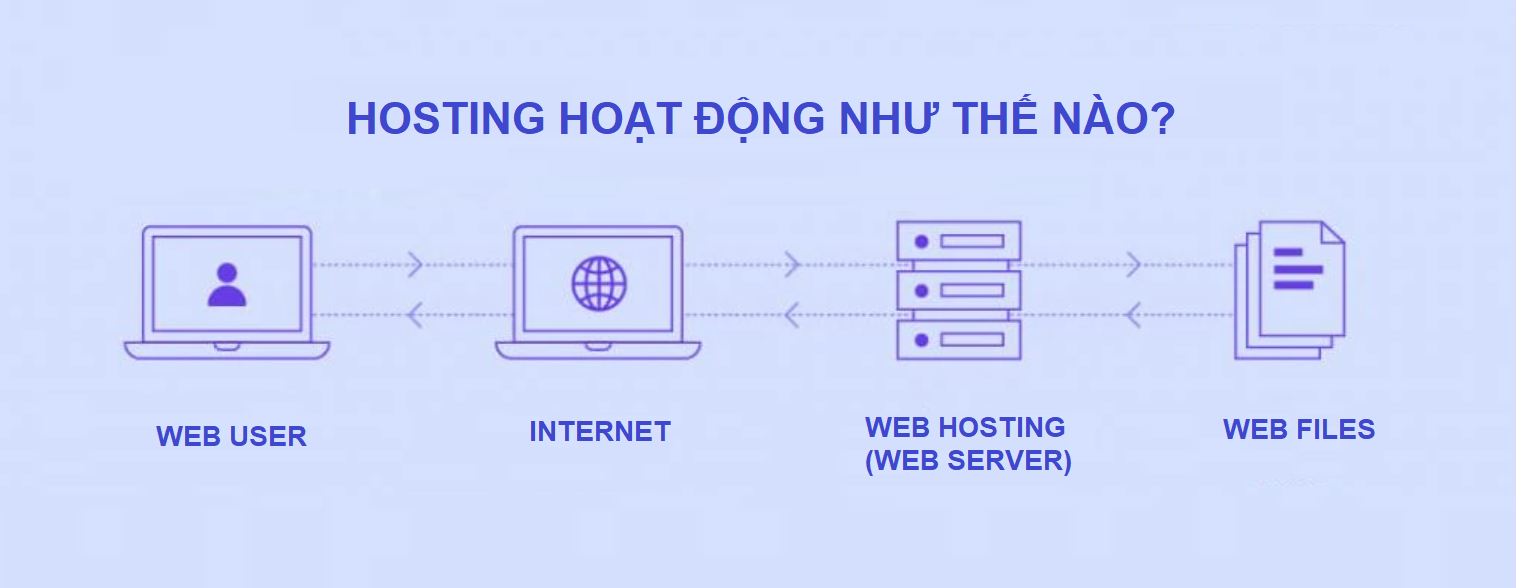 hosting hoat dong nhu the nao - Công ty Thiết Kế Website Tam Nguyên