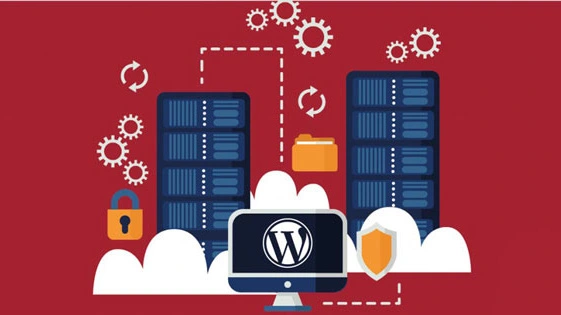 wordpress hosting - Công ty Thiết Kế Website Tam Nguyên