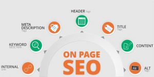 seo onpage - Công ty Thiết Kế Website Tam Nguyên