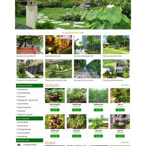 Thiết kế website cung cấp cây xanh chuyên nghiệp