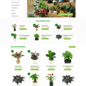 Thiết kế website cây cảnh văn phòng chuyên nghiệp