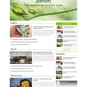 Thiết kế website giới thiệu dịch vụ chuyên nghiệp