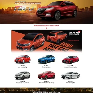 Thiết kế website giới thiệu sản phẩm cho các đại lý