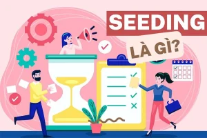 seeding la gi - Công ty Thiết Kế Website Tam Nguyên