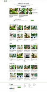 Mẫu website tin tức Tam Nguyên Media tintuc12.thietkewebsitetintuc - Công ty Thiết Kế Website Tam Nguyên
